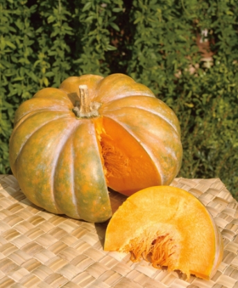 Picture of Winter Squash Musquee De Provence